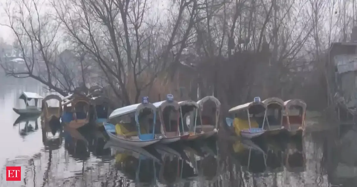 Kashmir weather: North India witnesses slight respite from cold conditions