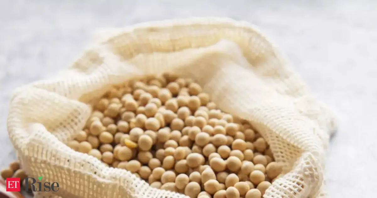 China reaches 12 million tons of soy purchases to meet US pledge