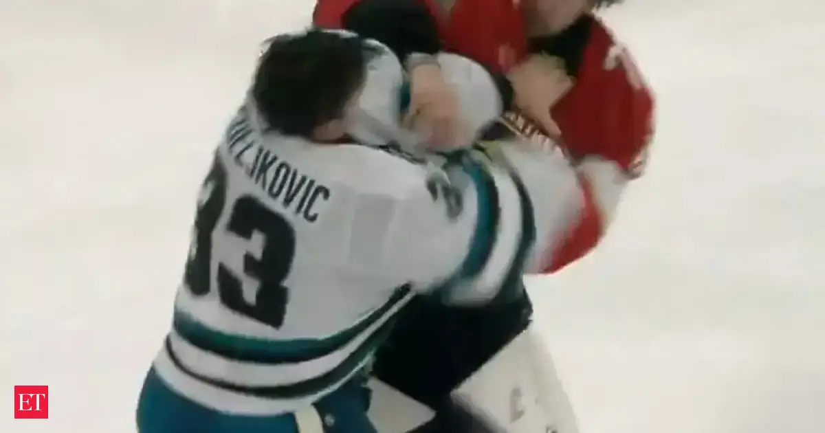 Watch: Bobrovsky-Nedeljkovic fight video goes viral as goalies trade punches during NFL game in Florida