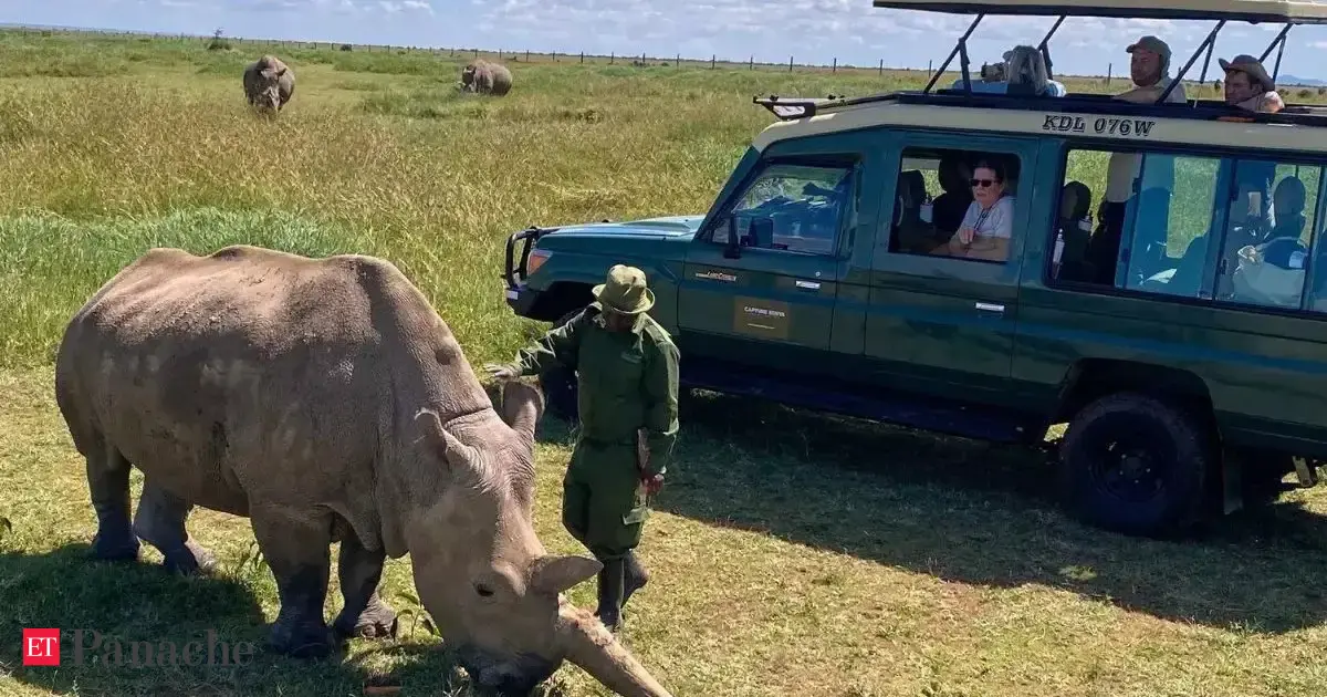 Two weeks in the Kenyan outdoors