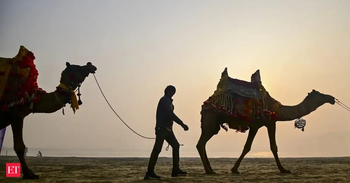 India's first camel milk processing plant procures 4,754 litres daily in 2024-25