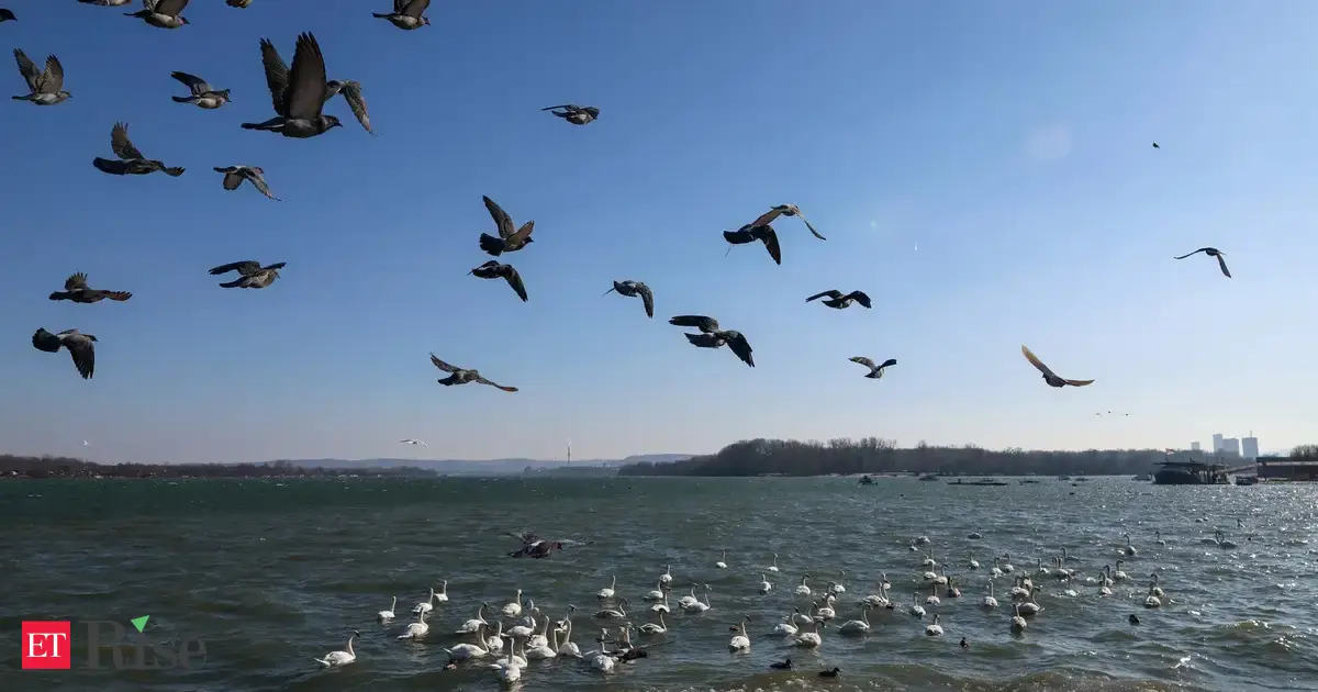 Water ‘bankruptcy’ era has begun for billions, scientists say