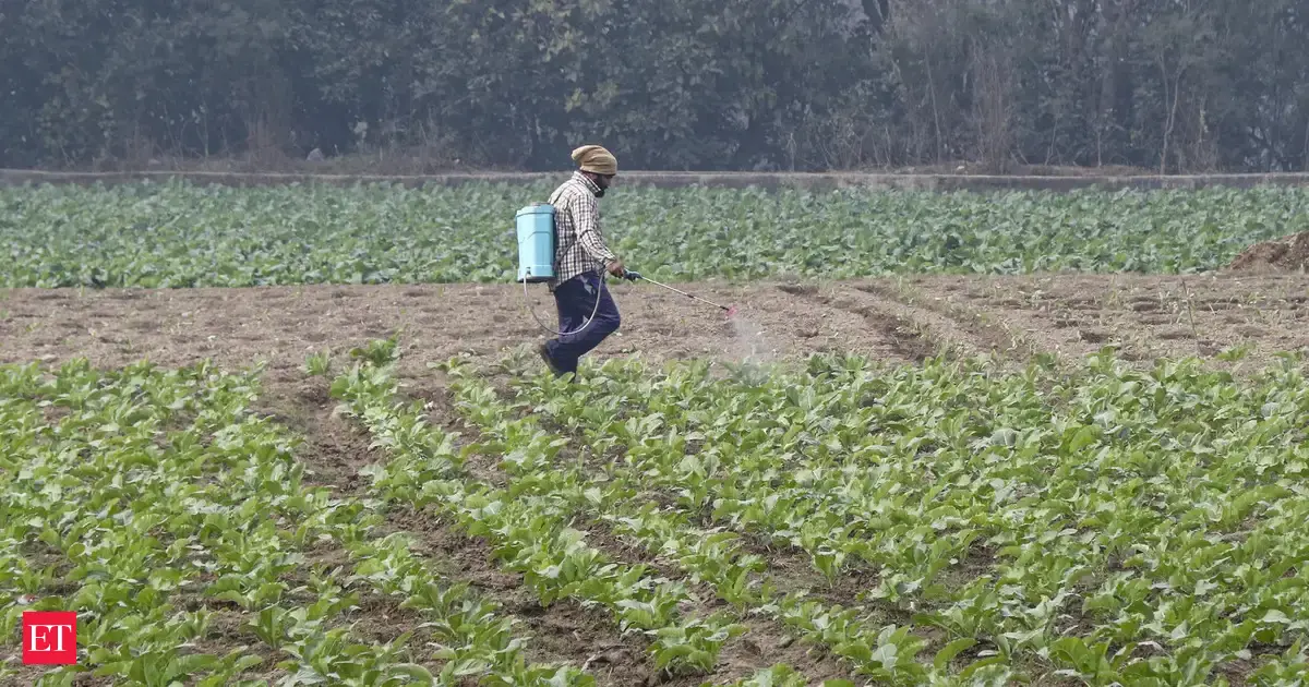 Pesticide industry urges tighter e-commerce rules to curb fake product sales