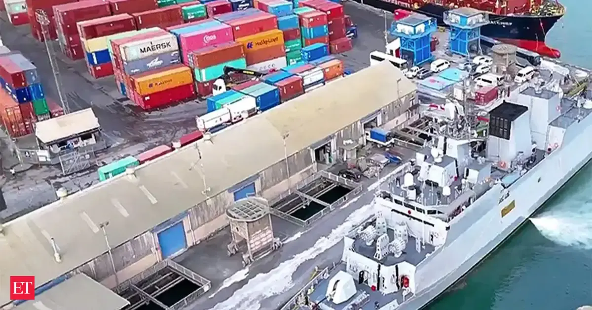 Japan's exports to US fall as tariffs bite