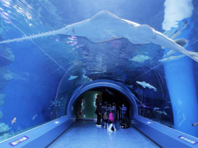 Shinagawa Aqua Stadium aquarium
