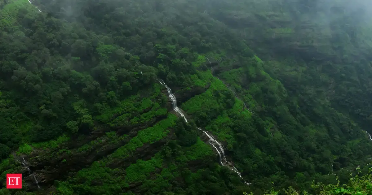 World spent 33 times more on destroying nature than on protecting it: UN Report