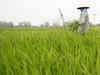 Brace for price rise, kharif MSP may be raised up to 30%
