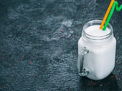 Paneer Protein Smoothie