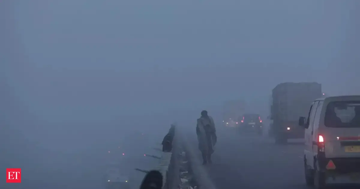 Delhi NCR Weather Update: Cold wave grips national capital after rain; dense fog, colder nights ahead
