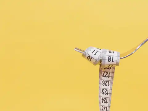 Which Diet Should You Follow? The Answer