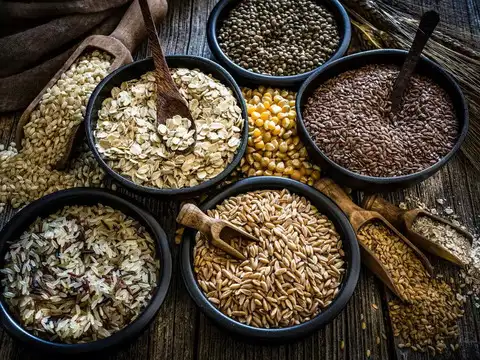 Oats & Brown Rice &ndash; The Daily Digestive Champions