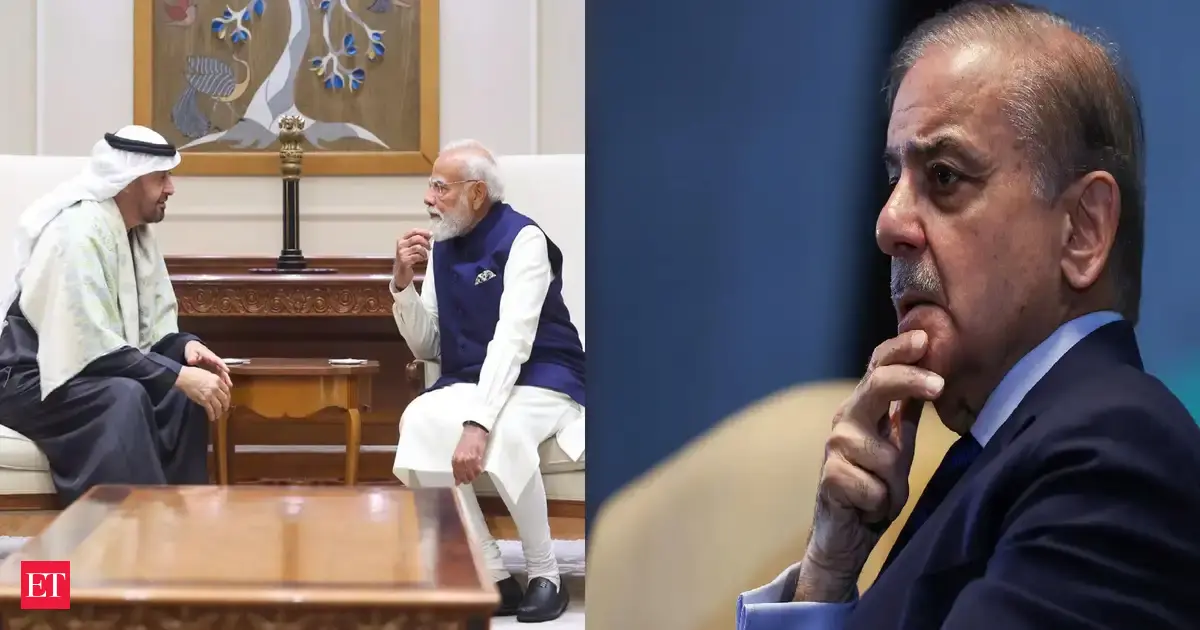 India a key driver of global energy demand: UAE minister