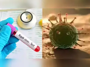 Only two Nipah Virus cases reported from West Bengal since December: Union health ministry