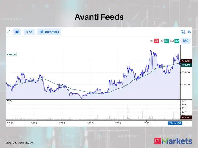 Avanti Feeds