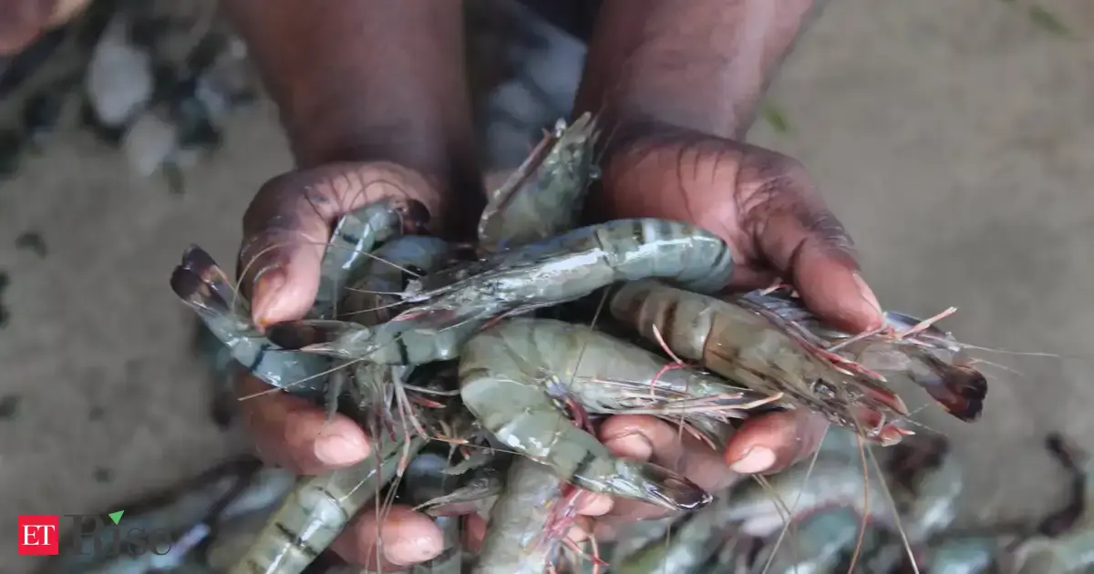 Tariffs drop, nets even: With India-EU FTA, India’s seafood exports square off against Ecuador, Vietnam