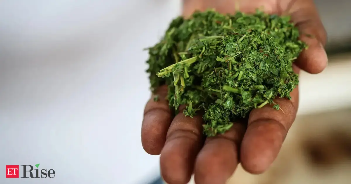 India-EU FTA opens new export avenues for Indian tea, compliance costs key concern: TAI