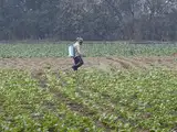 India could reach $100 billion in combined agri, marine, food exports in four years: Eco Survey 2026