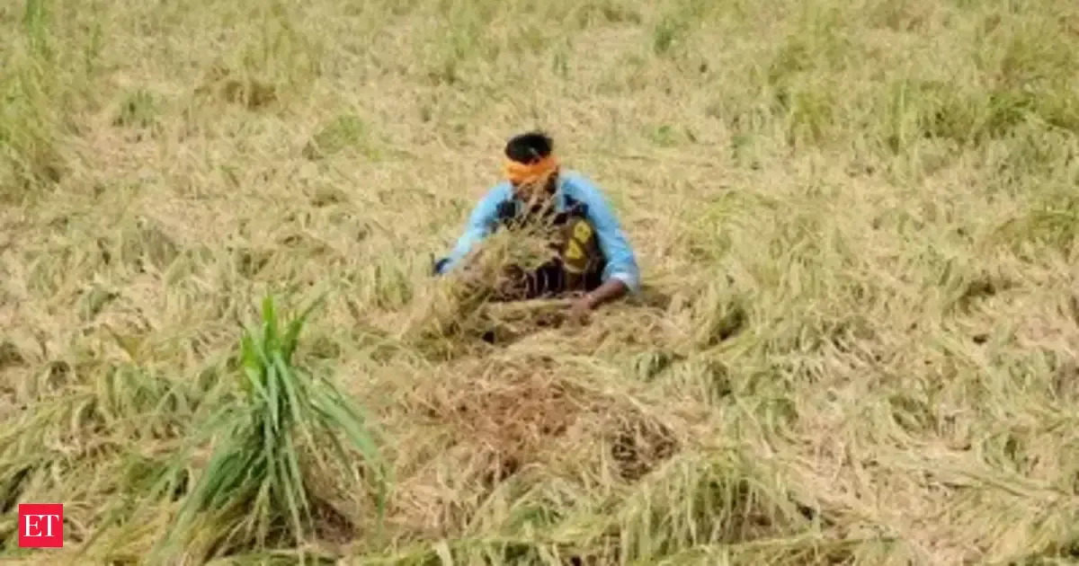 Economic Survey calls for urea price hike, direct cash transfer to farmers