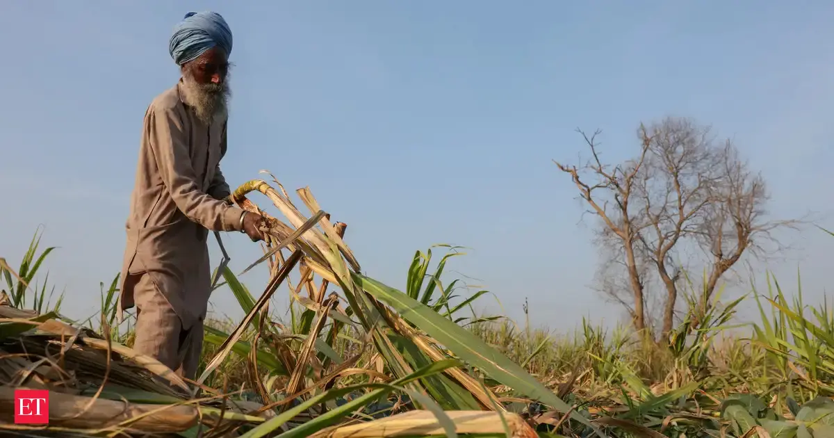 Economic Survey backs voluntary crop diversification over MSP tweaks