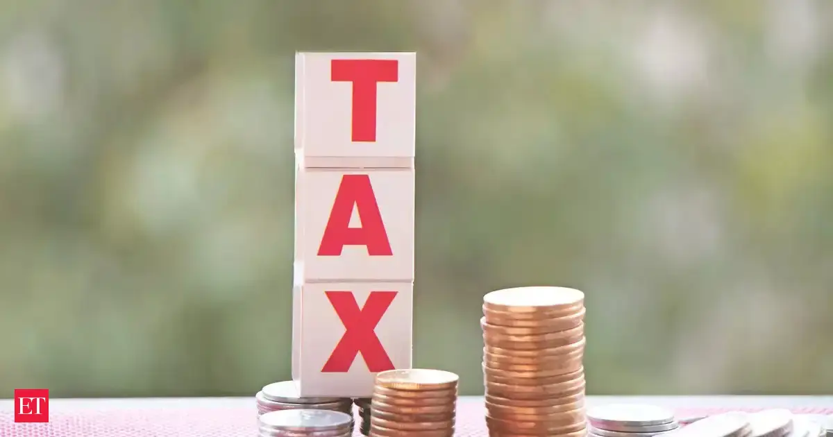 India should cut tax on debt instruments to reduce cost of capital, economic adviser says