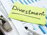 What is Disinvestment? Definition of Disinvestment, Disinvestment ...