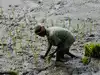 A make-or-break moment awaits India&rsquo;s farm policy