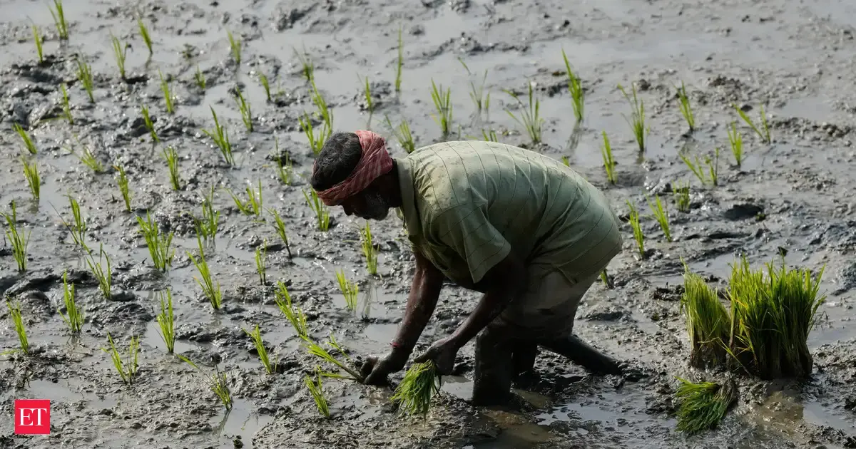 Budget 2026: A make-or-break moment awaits India’s farm policy