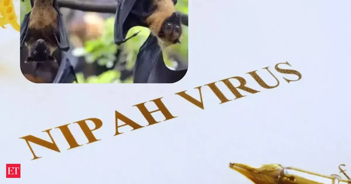 Nipah virus outbreak in Australia: What's the latest status? Is it deadly? What are the symptoms? Here's all you should know