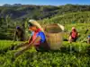 ₹1.63 lakh crore allocation reaffirms farming as the backbone of India's growth