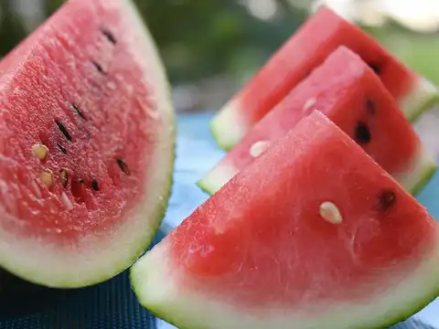 Hydration: They Drink AND Eat Their Water