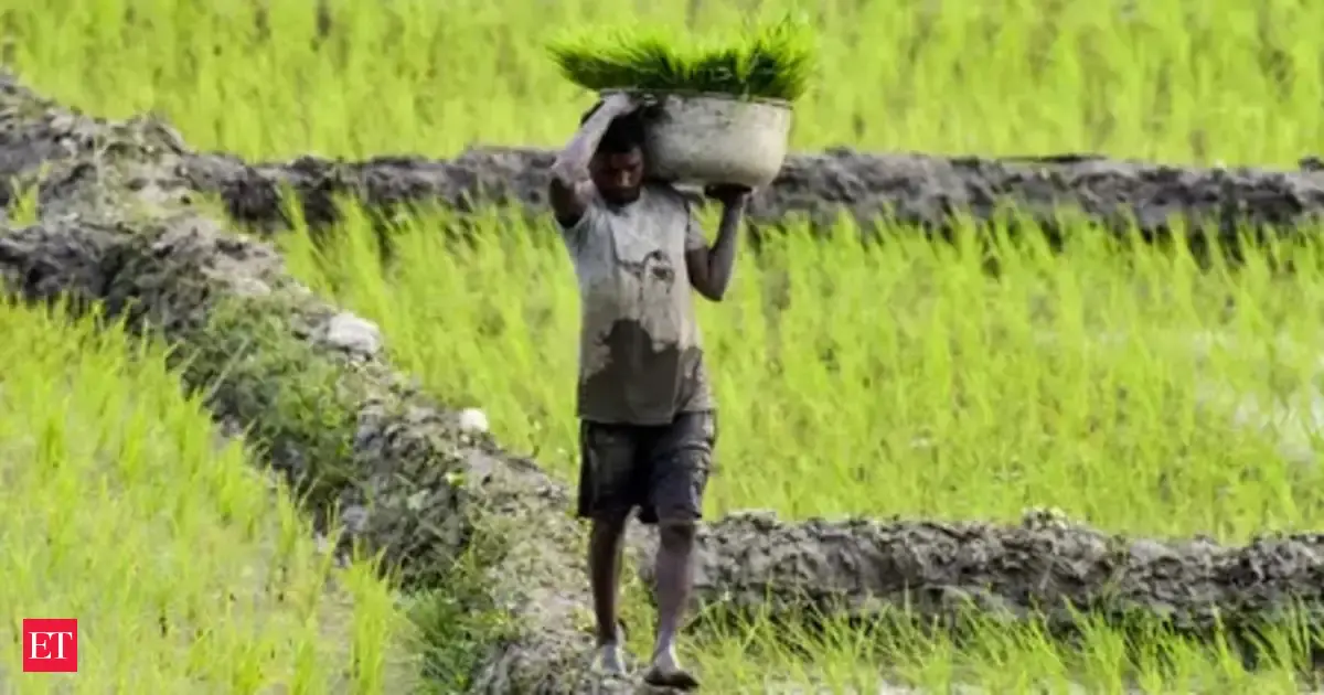 Budget FY27 to boost farmers' income, strengthen cooperatives: NDDB Chairman