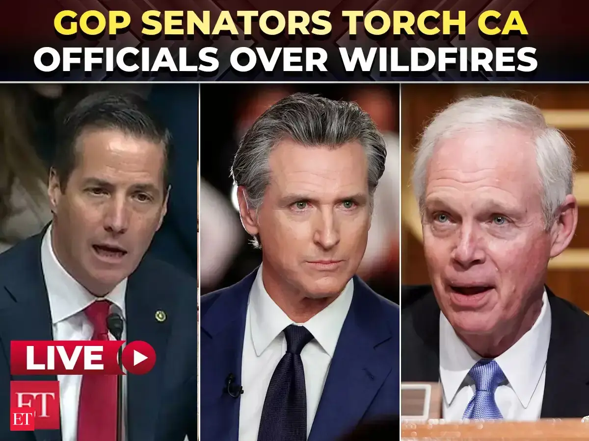 'They failed to follow basic process':  Explosive testimony shocks Senate over California wildfires