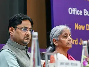 Budget 2026: SEZ domestic sale a one-time Step, says Revenue Secretary