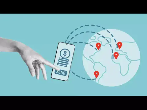 What the Liberalised Remittance Scheme allows