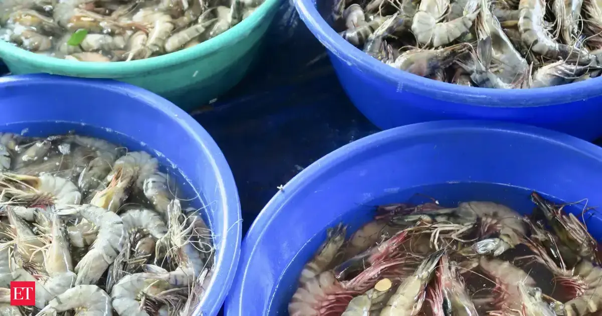 TDP hails India-US trade deal but raises concerns over shrimp export
