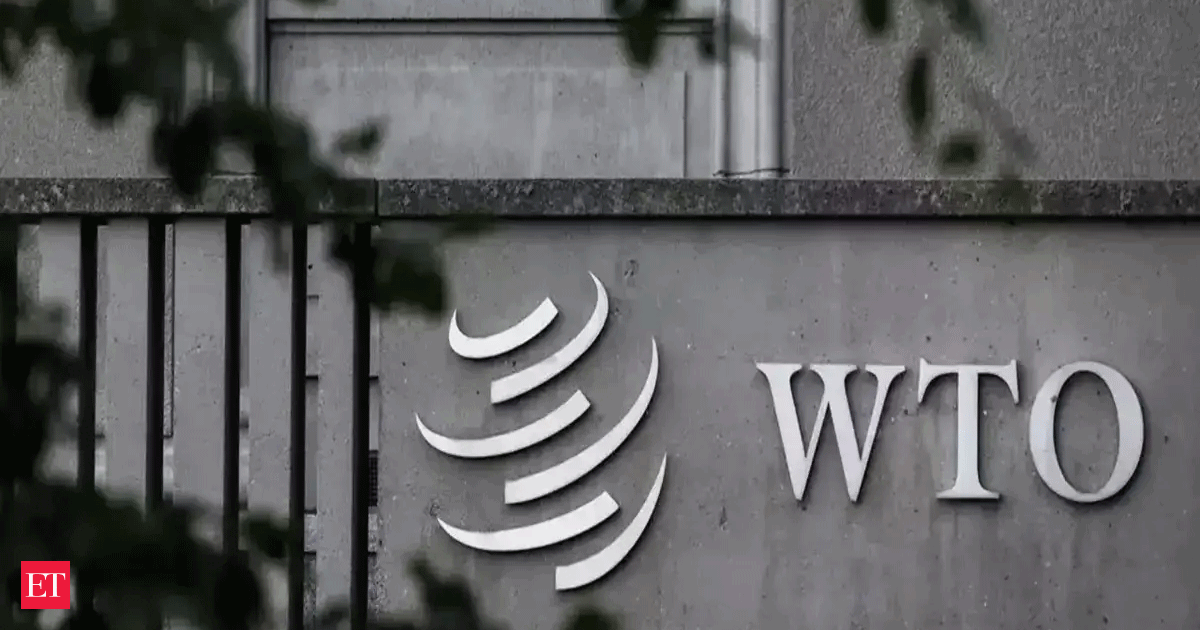 World Trade Organization must 'reform or die': Talks facilitator