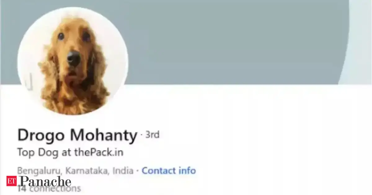 Bengaluru ‘top dog’s adorable LinkedIn profile goes viral. Meet the BITsian behind Internet sensation Drogo Mohanty