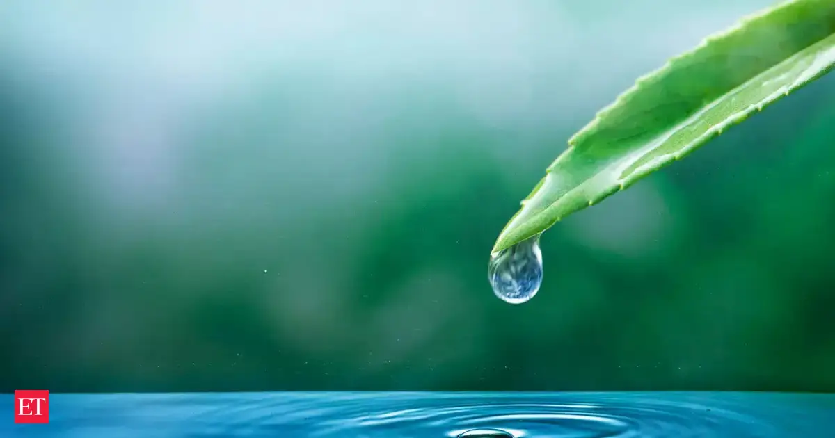 Did You Know: Water might not be wet — here’s the surprising science behind it!