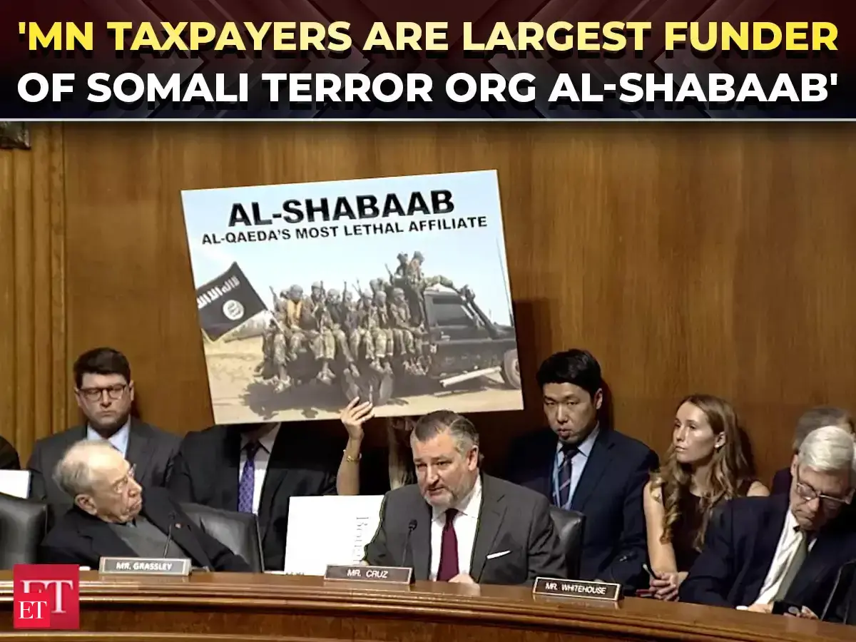 'Billions sent to support Al-Shabaab': Sen. Cruz drops bombshell at Minnesota Somali fraud hearing