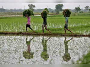 Rupee Sees Best Weekly Gain in 3 Years on India-US Trade Deal Hope | Quick Digest