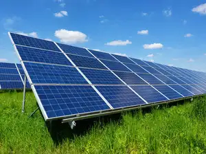 ACME Solar wins government-backed project for reliable renewable power ...