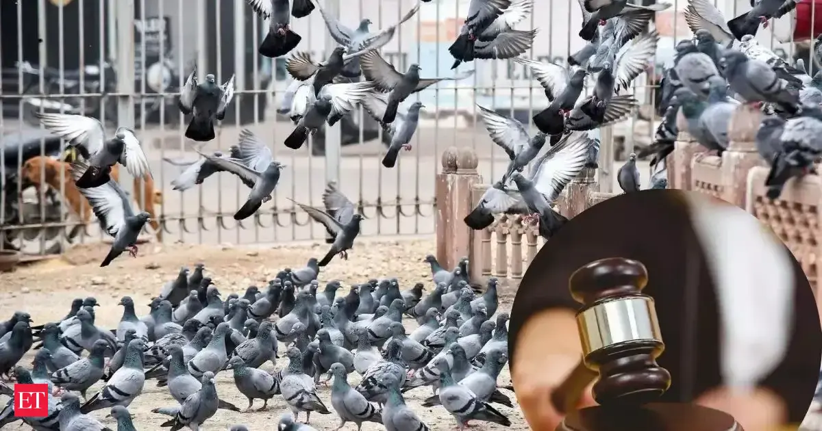 Indian-origin woman fined Rs 2.2 lakh in Singapore after being caught feeding pigeons