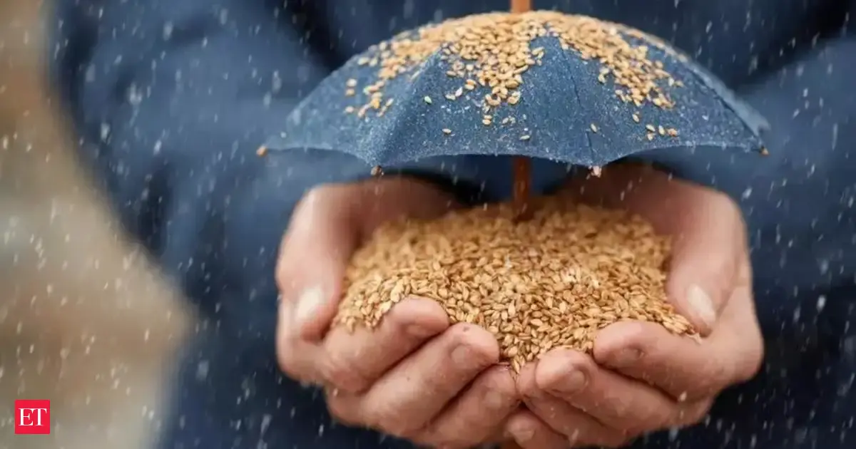 What India can learn from Indonesia’s 'zero-borrowing' welfare model