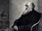 Quote of the day by Charles Darwin: &lsquo;If the misery of our poor be caused not by :Image