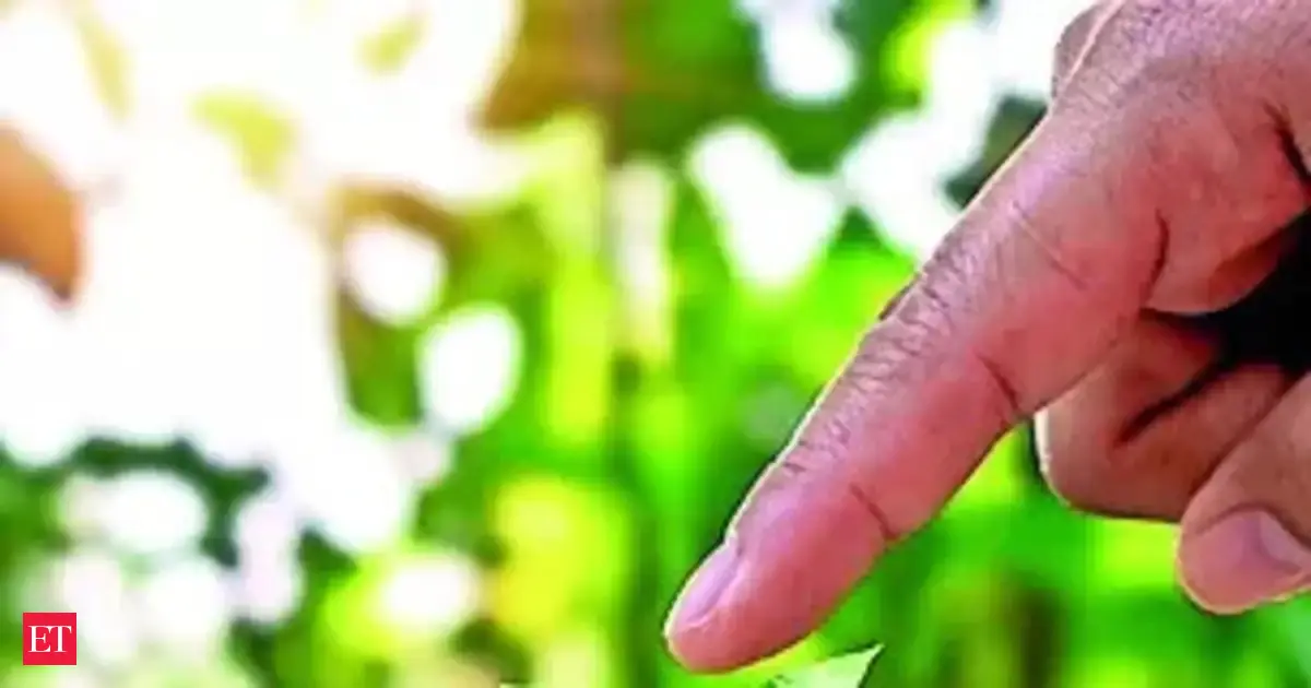 Renewables firm Radiance raises $100 m from Danish fund, FMO