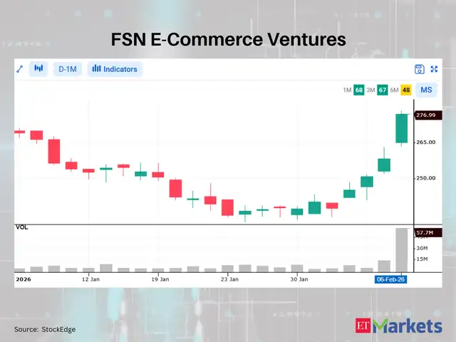FSN E-Commerce Ventures