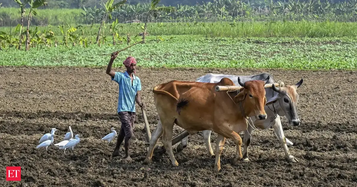 India-US trade deal: Farmers may get cover as tariffs on certain American agri-related products to ease over 10 years