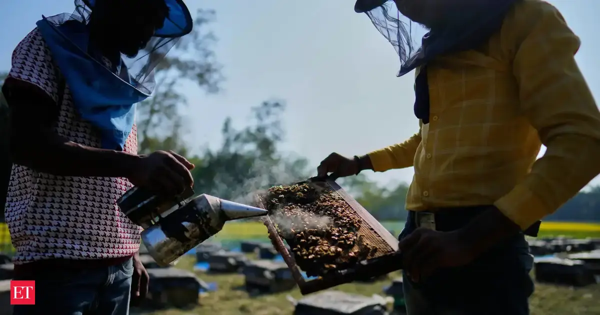 Assam's migratory beekeepers and their hives follow the flowers to make the honey flow