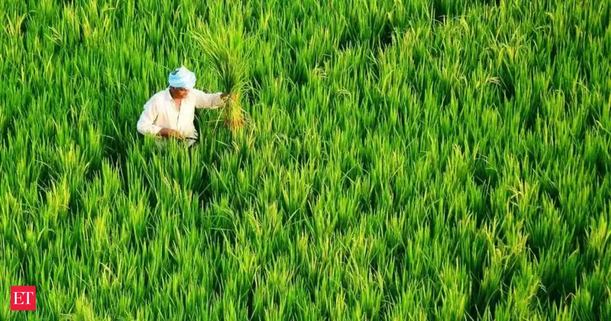 India is the place for large-scale organic production, says Commerce Secretary Rajesh Agrawal