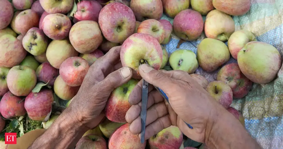 India-US deal: Some J&amp;K fruit growers on edge, others call it opportunity to better their produce